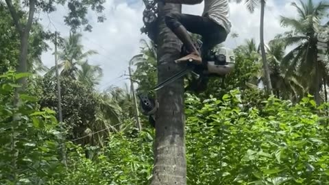 TREE CLIMBING HAND MADE MACHINE
