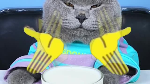 Hey! Do Not Waste Food Again And Again!😟🍦| Don't Waste Food #topperguild #funnycat #shorts