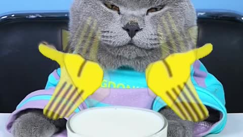 Hey! Do Not Waste Food Again And Again!😟🍦| Don't Waste Food #topperguild #funnycat #shorts
