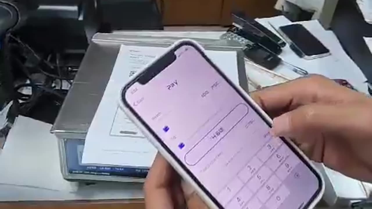 BOOOOOOOOOOOOOOOOOOM!!!Palau has been successfully tested CBDCs on the XRP-LEDGER!