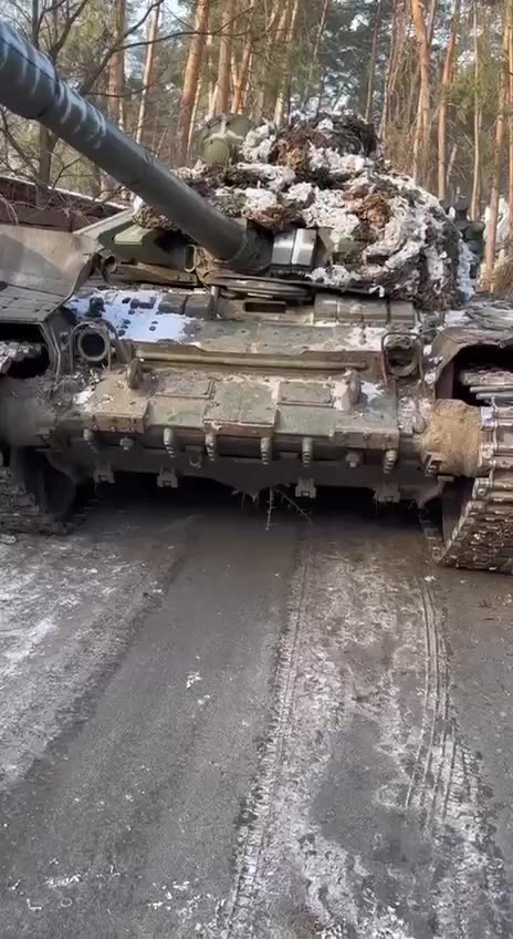 Captured Russian tank. Kremennaya area