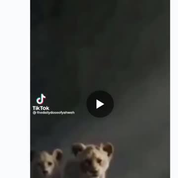 VK repost: Remember the Lion King