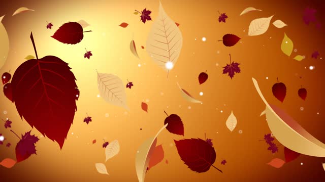 micro film golden autumn leaves led background video hd