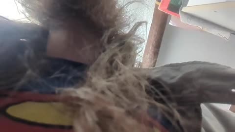 2023-04-07 (3) - local - Twitch Decheterie