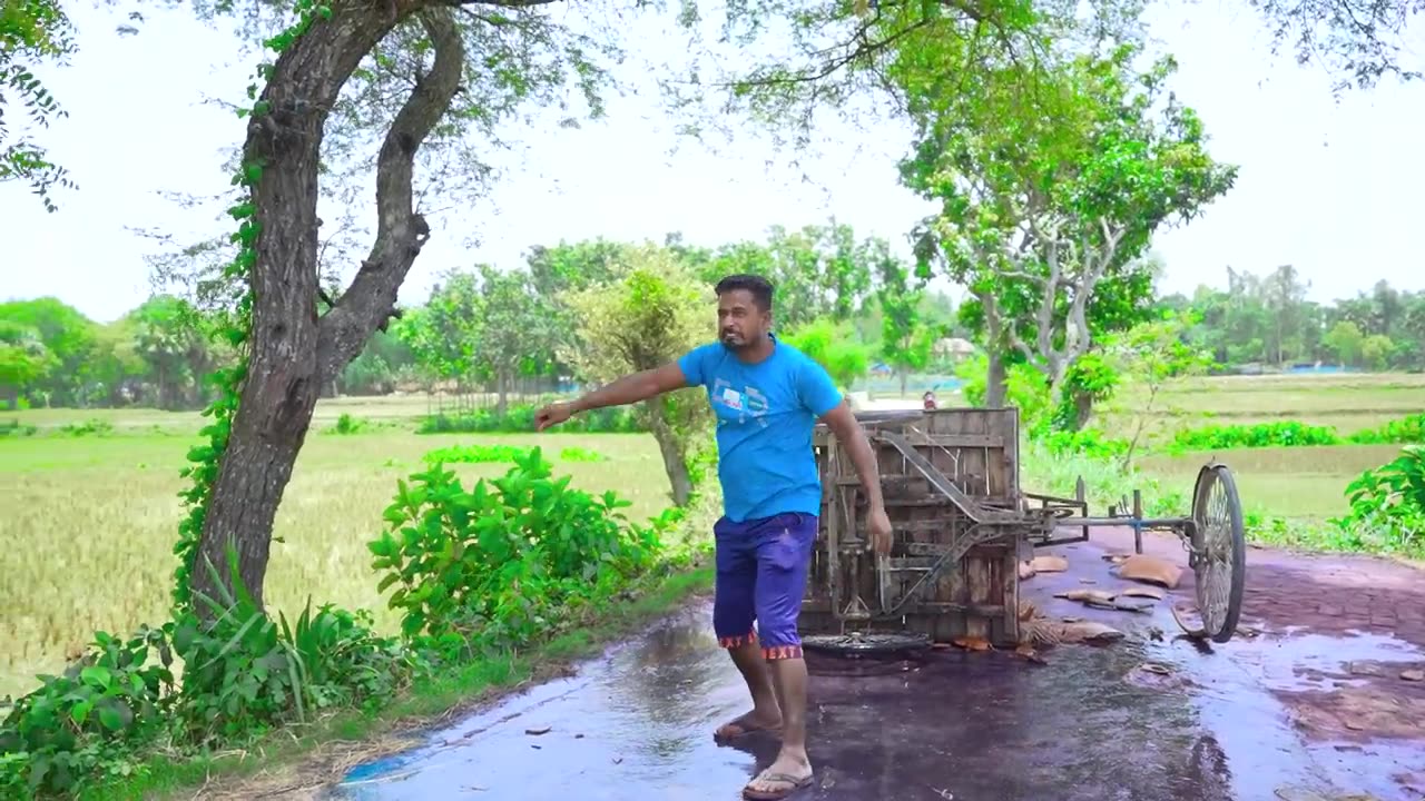 Must Watch Special Comedy | Fun and Funny