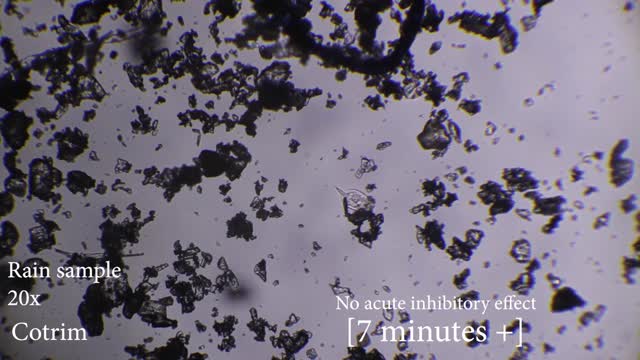 2022-07-02 Moving organisms on Cotrim