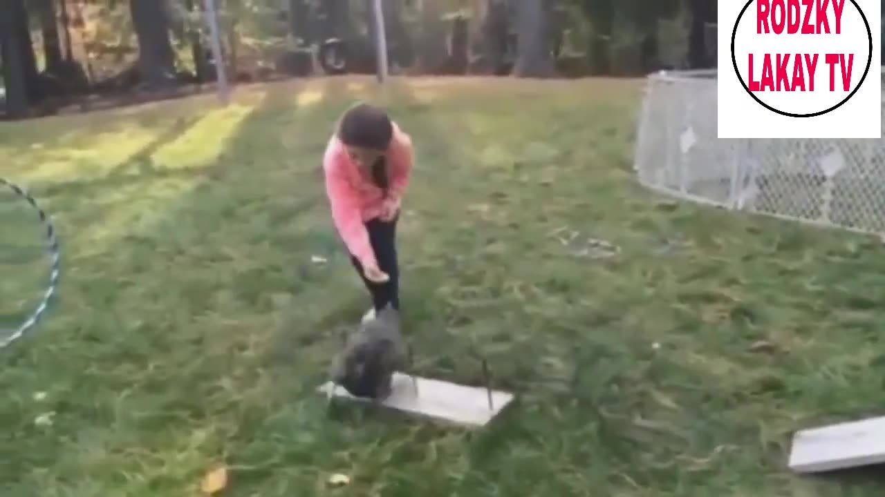 Chicken Funny Video😂😂