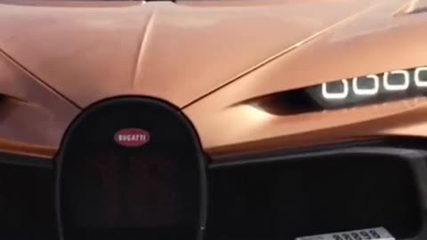 LET ME SHOW YOU YOUR FUTURE