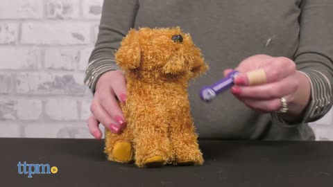 American Girl Plush Pets | Play Lab