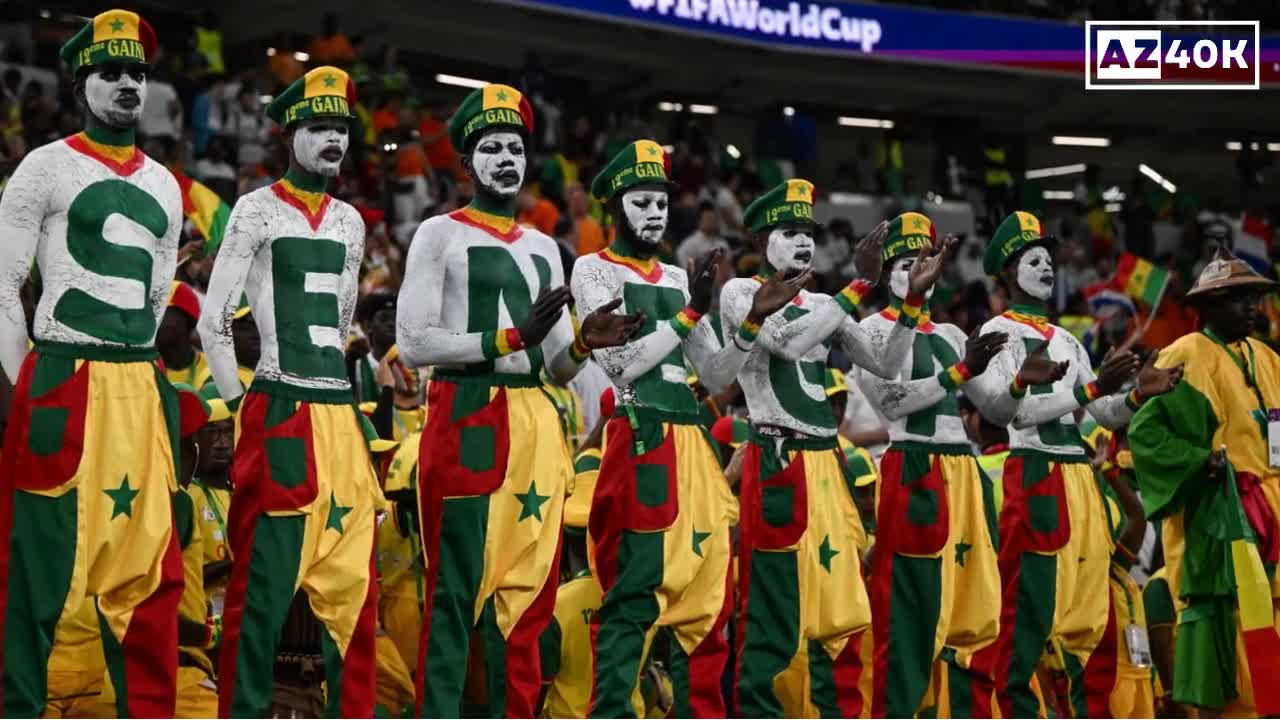 Senegal Fans' Passion vs Netherlands