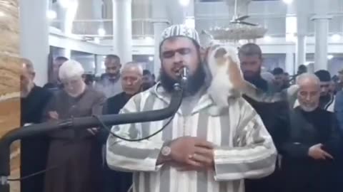 Cat jumps on Imam during qiyam (taraweeh) prayer. #Ramadan