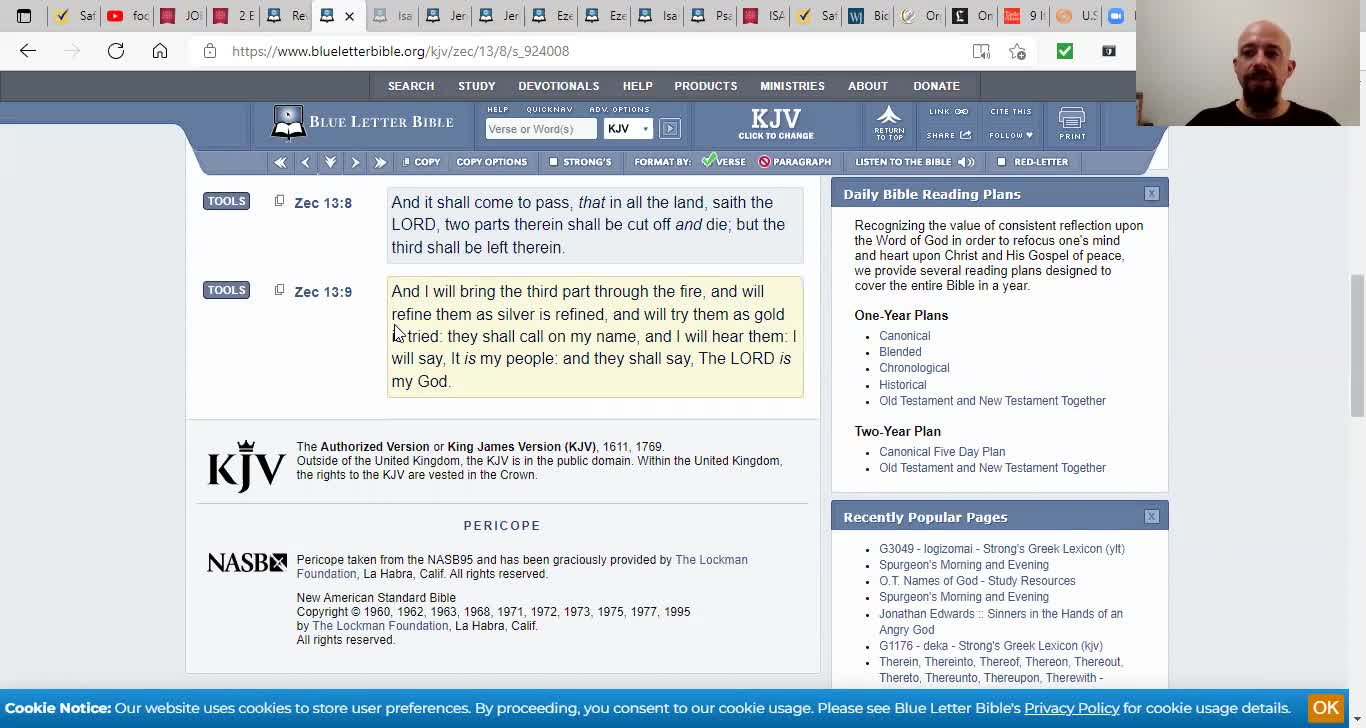 More on the multilateral famine progression for Babylon the great