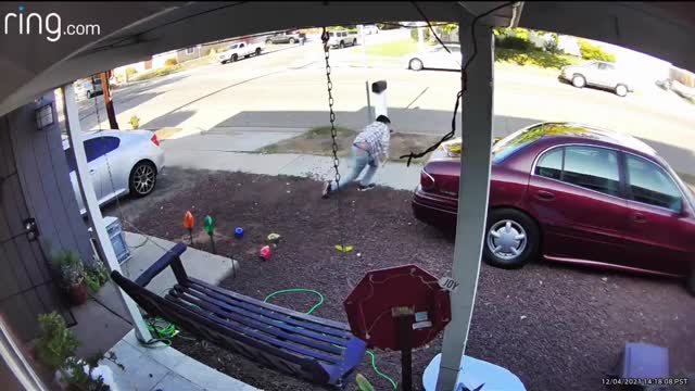 Uncle and Sons Trip Over New Christmas Lights