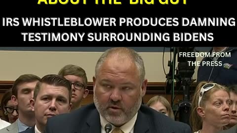 Everyone should See the Whistleblower Testimony!