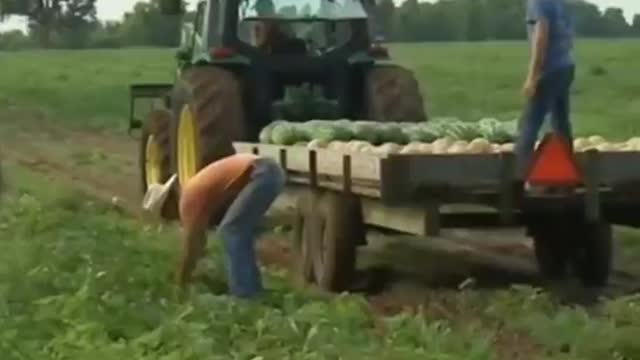 2160b US 🇺🇸 FARMING