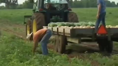 2160b US 🇺🇸 FARMING