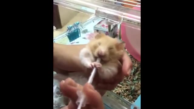 Funny Fails Compilation # 175