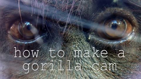 102.Make a Gorilla cam- HOW TO