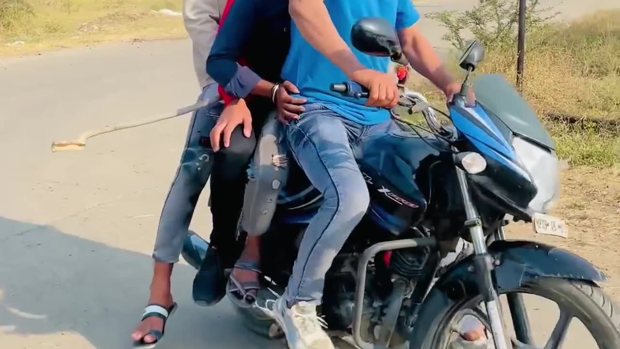 पलस वल क पगल समझshorts comedy