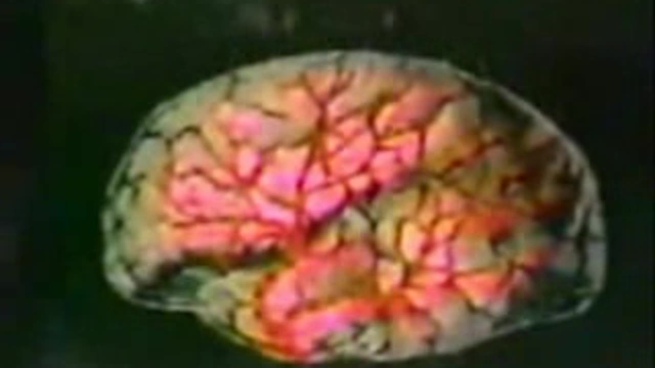 Monarch Chapter 10A - MKULTRA Scientist