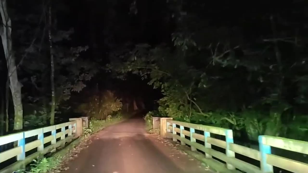 Spooky forest night drive