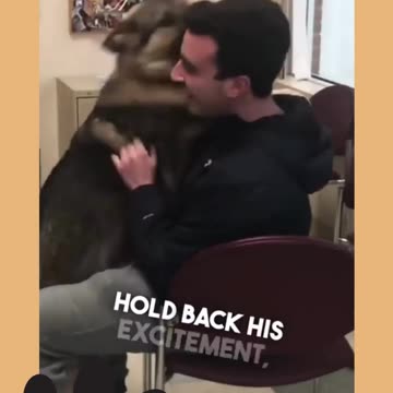 Heartwarming Story about Dog Ep.4_2 #shorts #dog #ShikyFAV