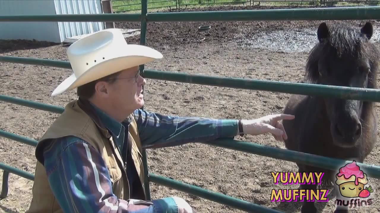 YTP - Christian Cowboy Skeeter Yodels To Death