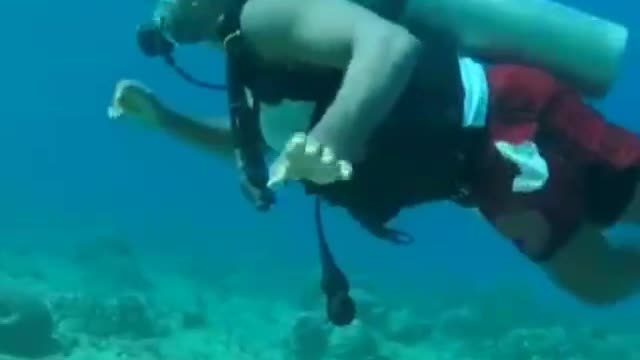 Buceo en San Andrés