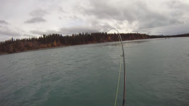 Fly Fishing Alaska