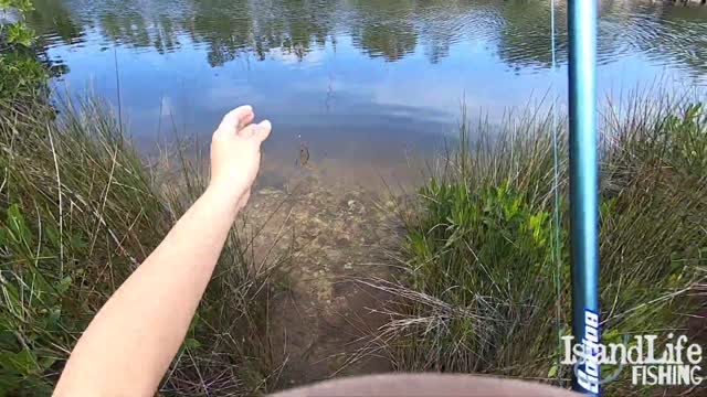 Winter Backcountry Tarpon