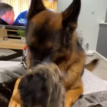 Someone's a Bit grumpy ...!!