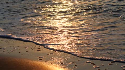 Sea wave golden sand sunrise