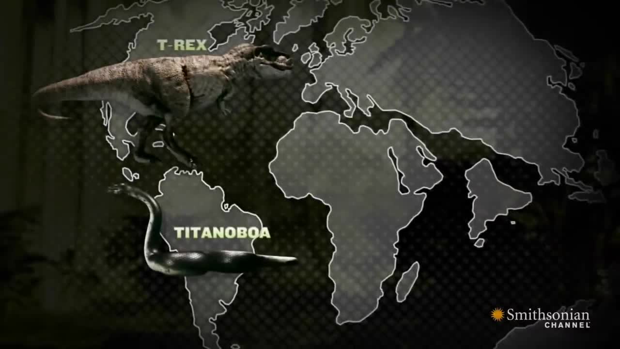 Titanoboa: Monster Snake - Titanoboa Vs. T-Rex