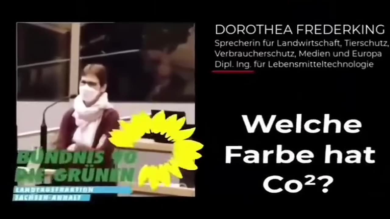 Grüne Dummerchen 🤣🤣🤣