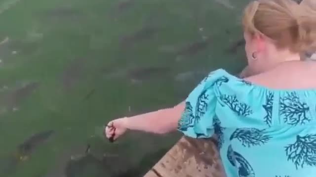 Look, I use small fish to catch big fish