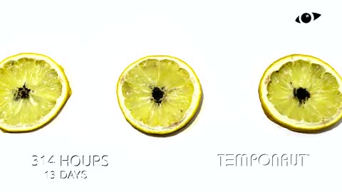Lemon Timelapse