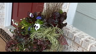 Enjoyable Frontdoor gardening