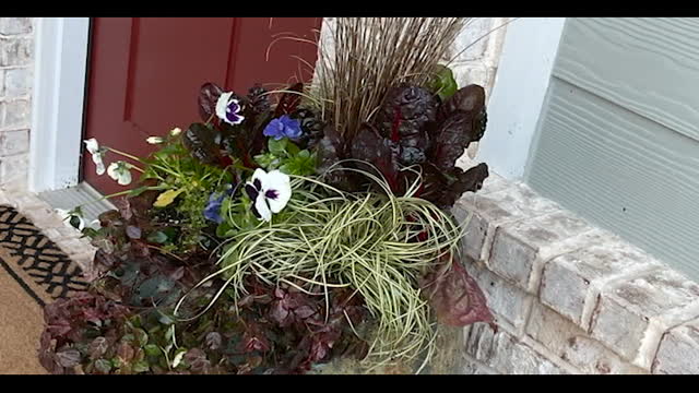 Enjoyable Frontdoor gardening