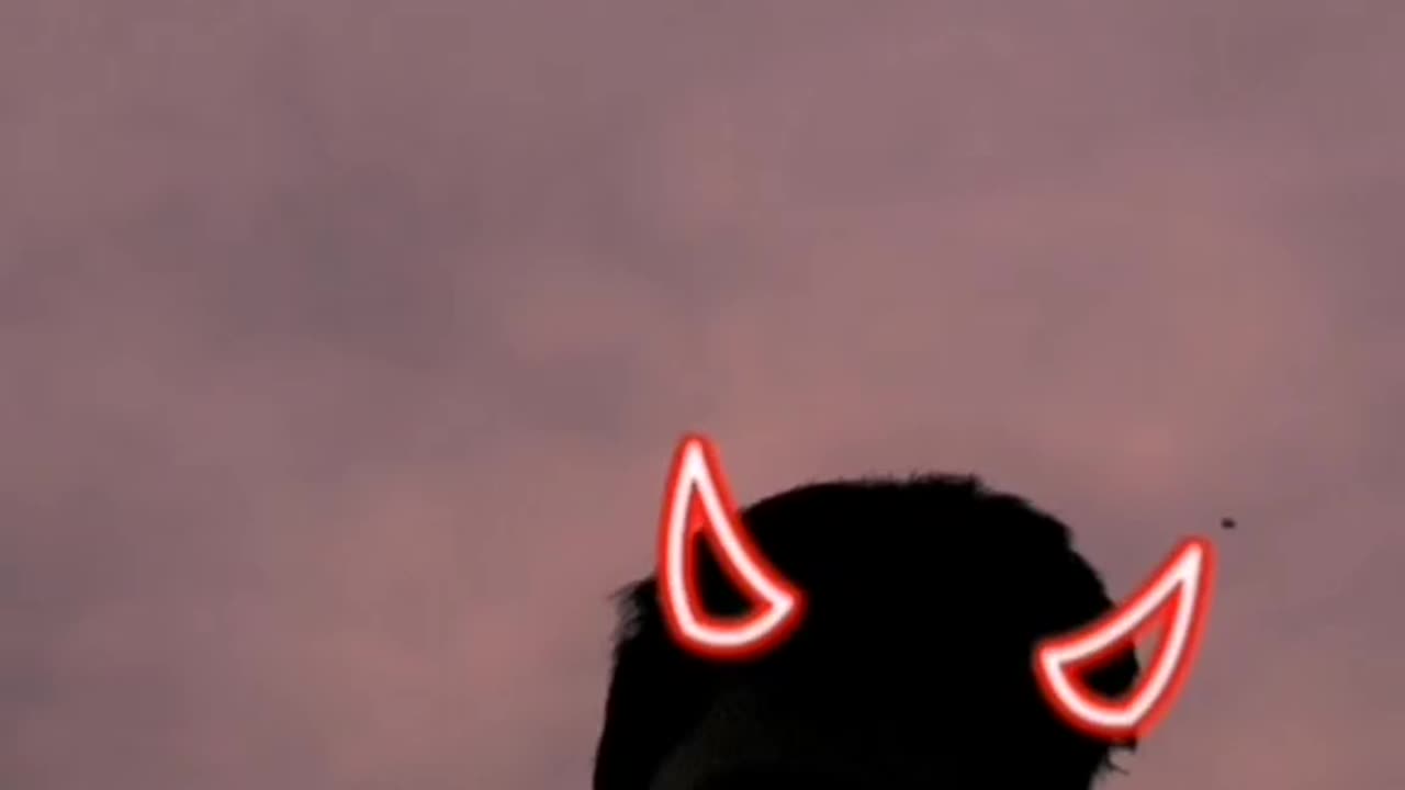 Tiktok fun