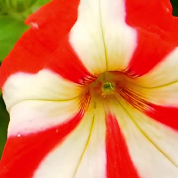 Take a Break: Discover How Relaxing This is! Volume 78