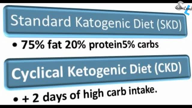 Cyclical Ketogenic Diet Explained