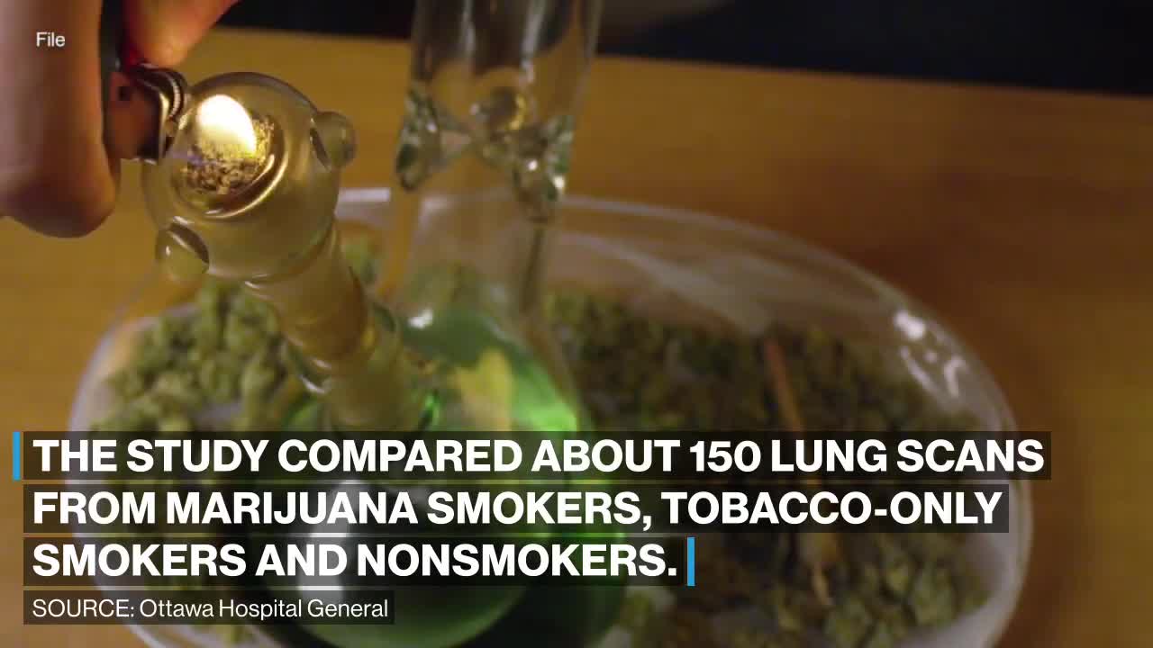 Marijuana smokers could be at more risk for emphysema than cigarette smokers Study