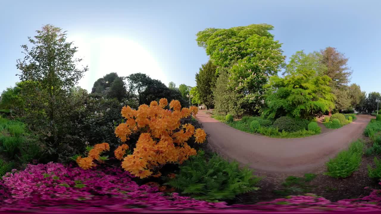 360° VR Morning Mediation Famous Green Kurpark Germany with Music