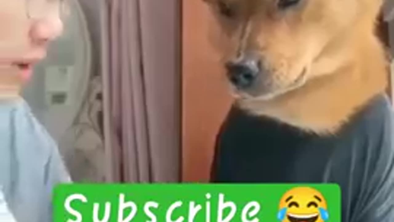 funny dogs dubbing 😂. subscribe for more funny videos #shorts #funnyvideos #pets