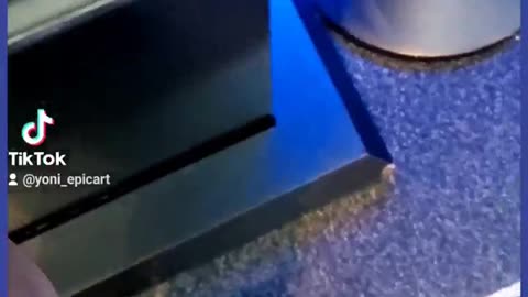 Fun On The Bun