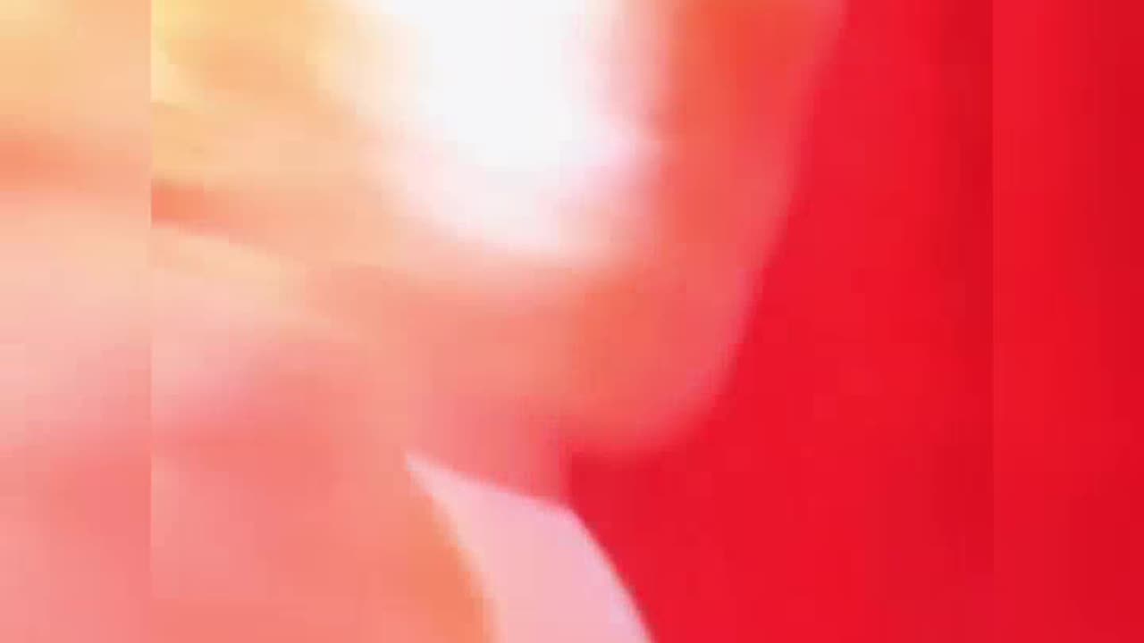 King Charles Lizard Eyes👀