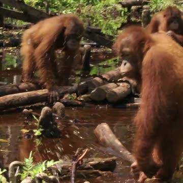 A tough lesson students need to learn about real dangers in the wild