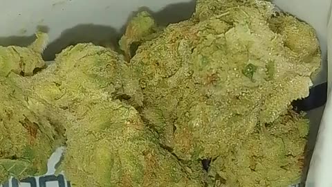 Cannatrek 25%Topaz seeded?