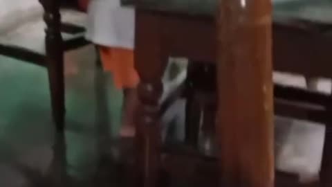 Fun and hide himself