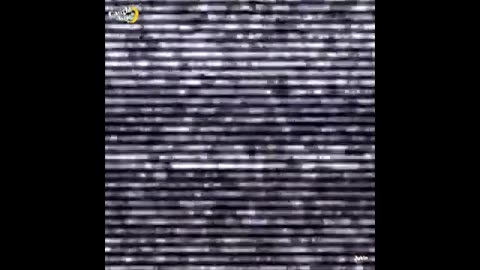 420's CLIP OF THE DAY November 27, 2023